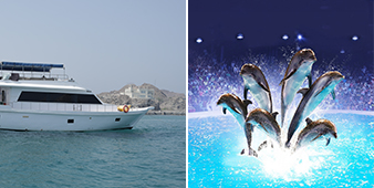 Fujairah Yacht + Dolphinarium